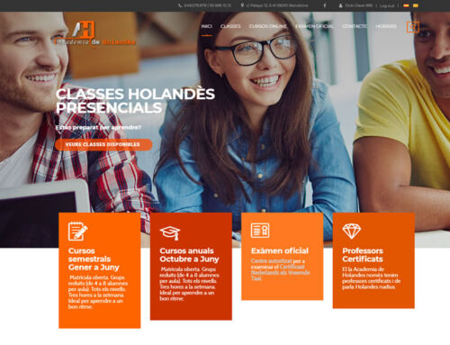 Diseño web responsive – Academia de holandés