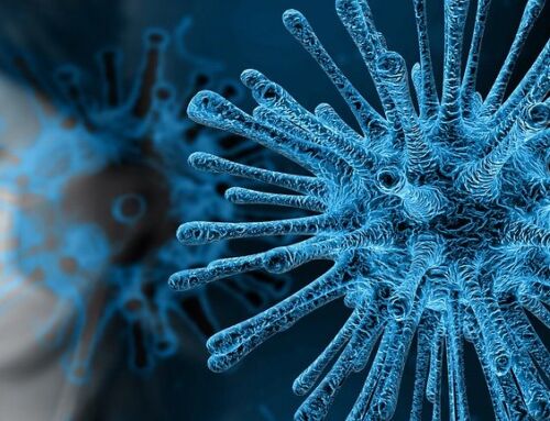 Comunicado de Imagina Web con respecto a la crisis del Coronavirus (Covid-19)