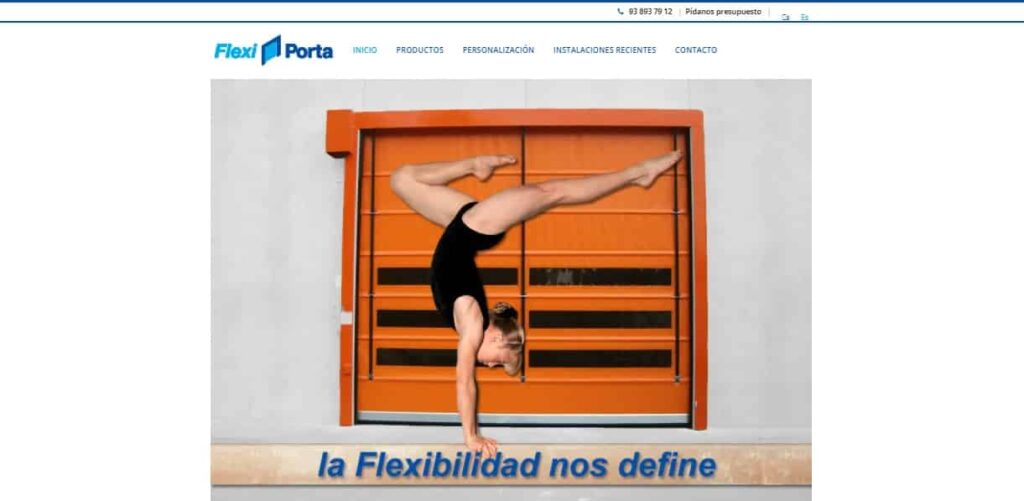 Marketing de internet para Flexiporta